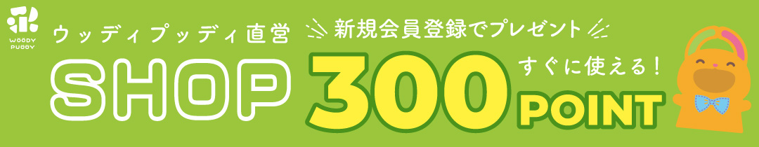 新規会員登録で300ポイントプレゼント